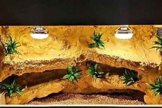 Okazja terrarium dla gekona lamparciego agamy brodatej