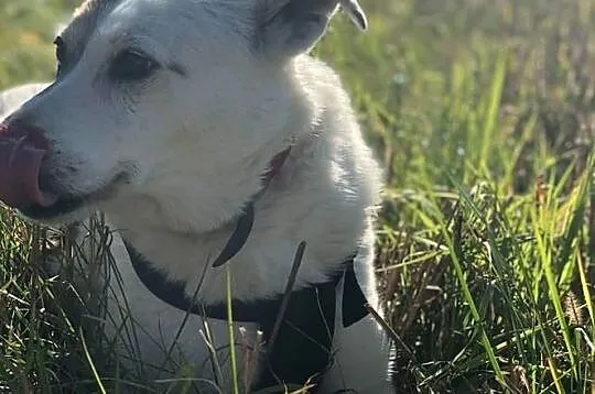 Tola nigdy nie miała rodziny, nigdy nie była kochana, nigdy nie dostała szansy..., , Wrocław