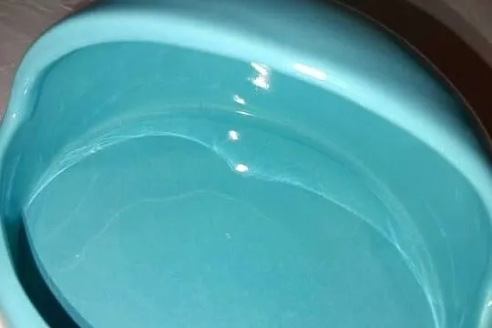 Basen ceramiczny dla gryzonia, Warmińsko-mazurskie, Olecko