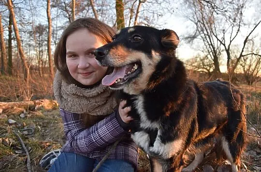 Alma, grzeczna niekonfliktowa sunia ADOPCJA