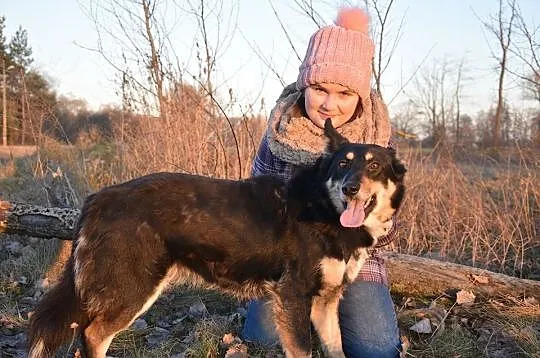 Alma, grzeczna niekonfliktowa sunia ADOPCJA