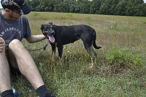 Pomóżmy Gamusi znów uwierzyć w siebie!,  mazowieck