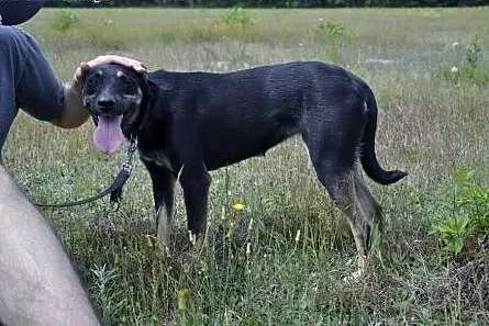 Pomóżmy Gamusi znów uwierzyć w siebie!,  mazowieck
