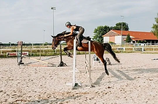 Super klacz do sportu, , 