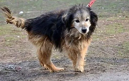 Błagamy o pomoc! Ma 15 lat, jest w trakcie leczeni