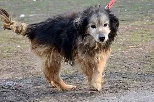 Błagamy o pomoc! Ma 15 lat, jest w trakcie leczeni