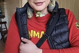 Nimfy ręcznie karmione