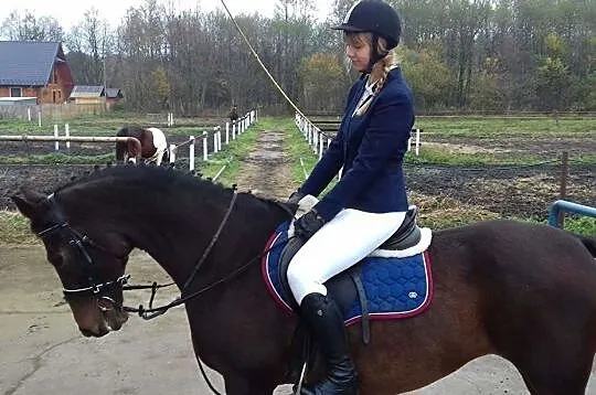 Klacz do współdzierżawy, , 
