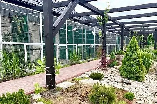 Ary Amazonki Kakadu Piony Park Papug Kraków, Małopolskie, Kraków