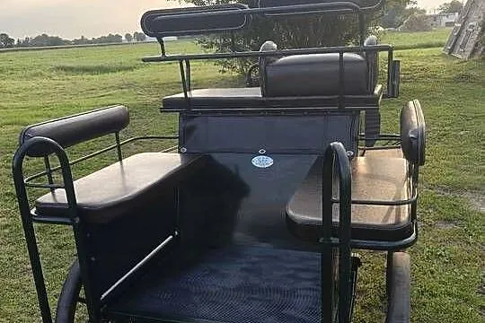 Bryczka powóz wagonetka, Wielkopolskie, Pleszew