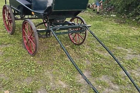 Bryczka powóz wagonetka, Wielkopolskie, Pleszew