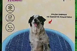 mata wodna chłodząca fontanna ogrodowa dla psa 150cm