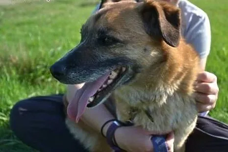Kora już nie ma czasu-ma swoje latka, a jej schron