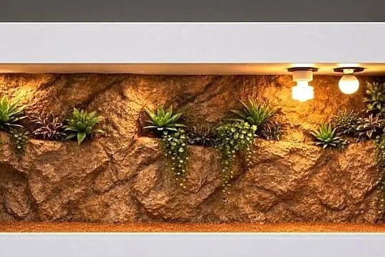 Terrarium pustynne dla gekona lamparciego agamy brodatej