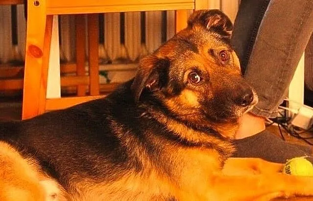 Kto takie miny stroi? To słodki Borys!, Mazowieckie, Warszawa