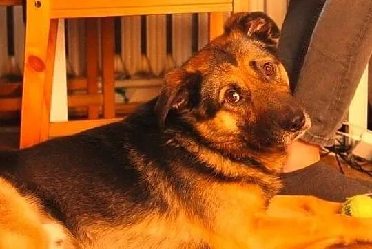 Kto takie miny stroi? To słodki Borys!, Mazowieckie, Warszawa