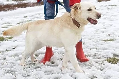 FENDER - człowiek to dla niego cały świat - on Cię