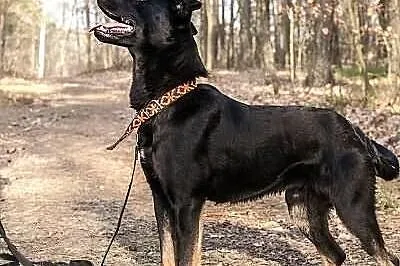 Fiodor – tak bardzo kocha ludzi i potrzebuje ich b