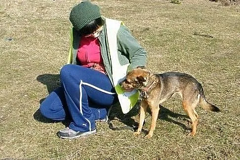 Mała suczka o złotym sercu szuka nowego domu,  łód