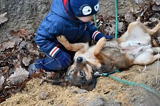 Dzieciolubna, kotolubna i psiolubna - super suczka