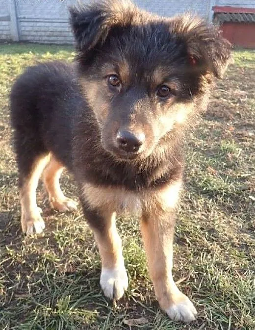Bara do adopcji filmik , łódzkie Łódź