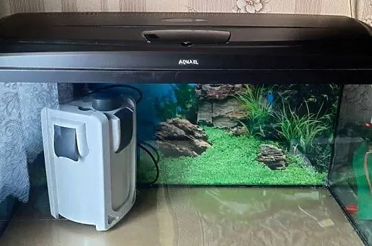Akwarium sprzedam