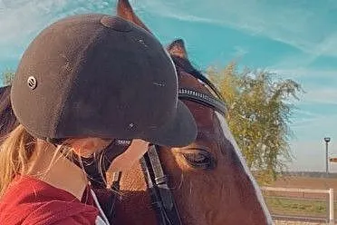 Wałach do sportu, , 