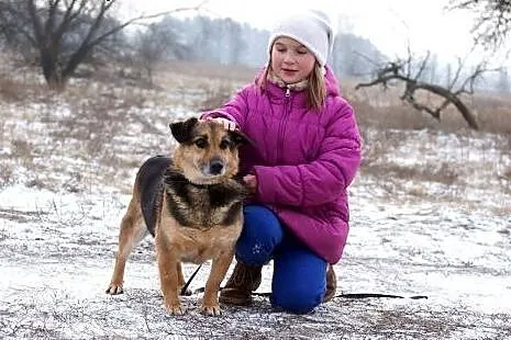 POLDUŚ szuka nowego domu,  Kundelki cała Polska