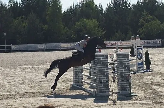 Ivy Cancan KL- klacz do sportu, , 