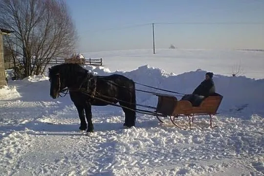 MASZYNY KONNE