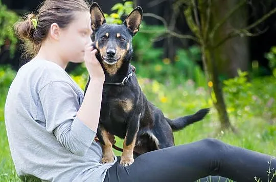 Minus, niewielki, młodziutki i przyjazny psiaczek
