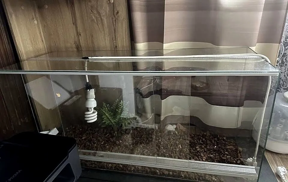 Sprzedam terrarium, Małopolskie, Leśnica