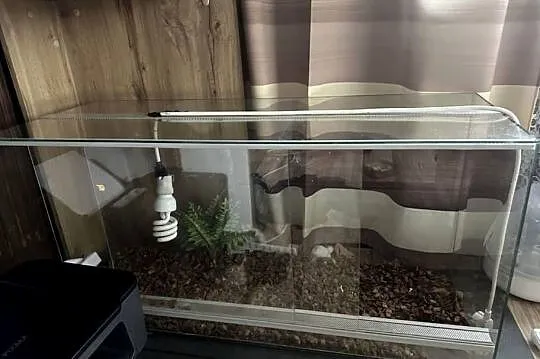 Sprzedam terrarium, Małopolskie, Leśnica