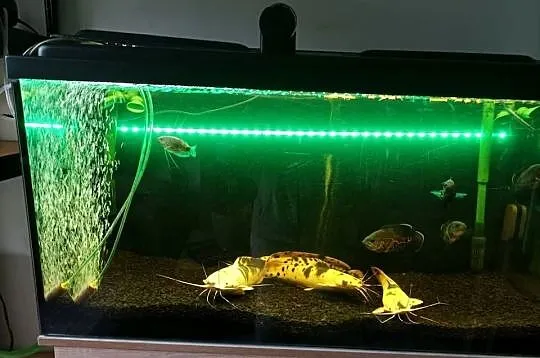 Akwarium Filtry Osprzęt Zestaw