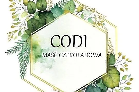 Labrador retriever piesek pieski mały czekoladowy brązowy samiec CODI REZER, Dolnośląskie, Legnickie Pole