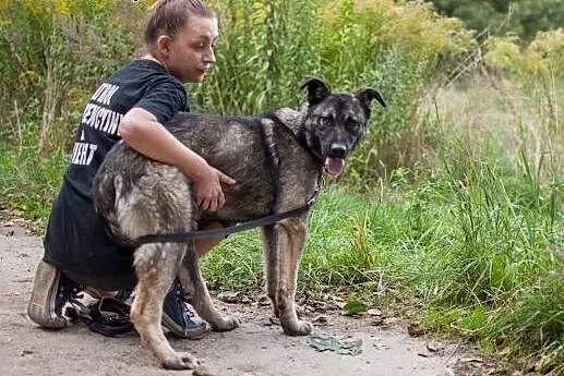 Kochany Dingo szuka dobrego domu,  łódzkie Łódź