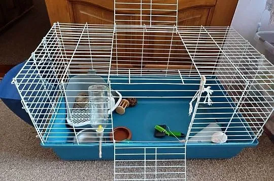 Sprzedam klatkę, drewniany domek transporter dla gryzoni, Pomorskie, Nowy Dwór Gdański