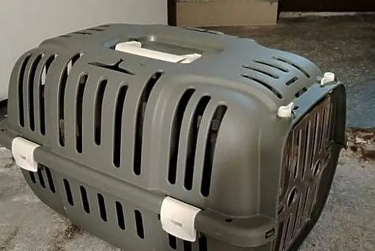 Sprzedam klatkę, drewniany domek transporter dla gryzoni, Pomorskie, Nowy Dwór Gdański