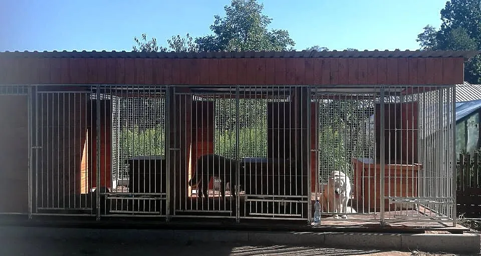 kojec buda boks dla psów, Łódzkie, Skierniewice