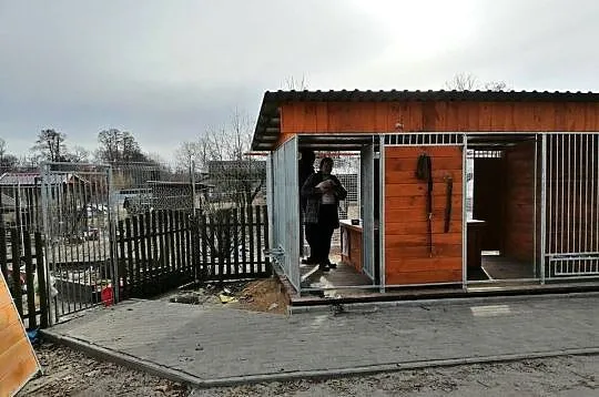 kojec buda  boks dla psów, Łódzkie, Skierniewice