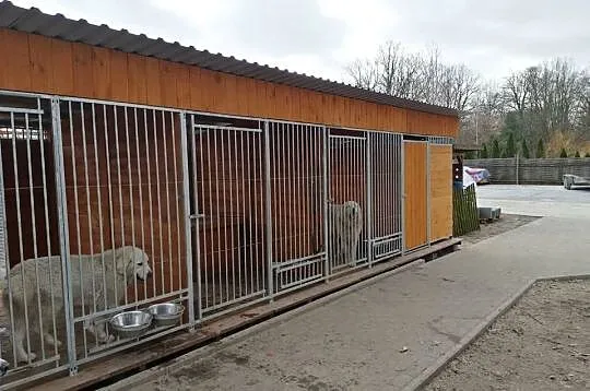kojec buda  boks dla psów, Łódzkie, Skierniewice