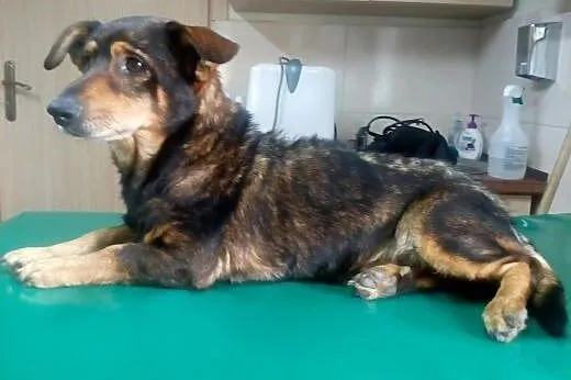 HELP - Maksik przeszedł przez piekło , teraz jedzi