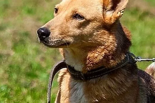 Słodka Wanilia :),  warmińsko-mazurskie Olsztyn