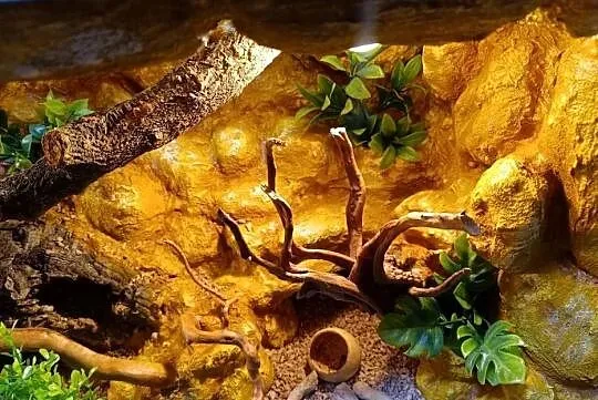 Terrarium dla gekon 80x40x40, Wielkopolskie, Ostrów Wielkopolski