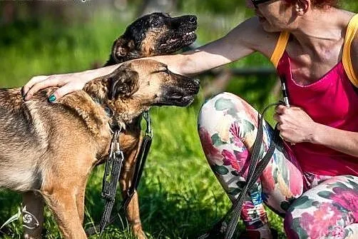 AMBER - sunia taka odlotowa, do adopcji jest gotow