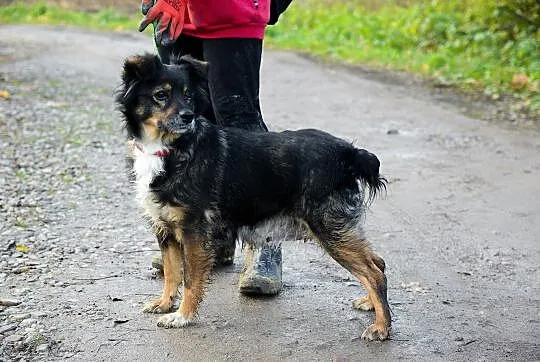 Niekonfliktowa Fruzia, niewielka i wyjątkowa, grze