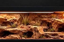 Terrarium specjalistyczne dla gekona lamparciego agamy brodatej