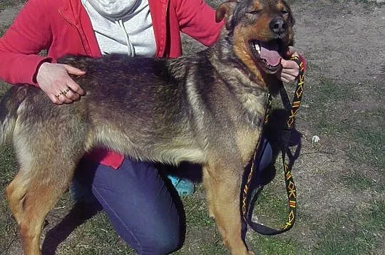 Bajtel szuka domu