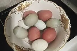 Jaja wiejskie - sprzedam , Hrubieszów