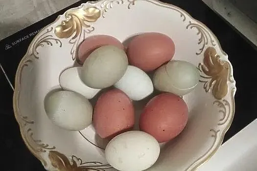 Jaja wiejskie - sprzedam , Hrubieszów